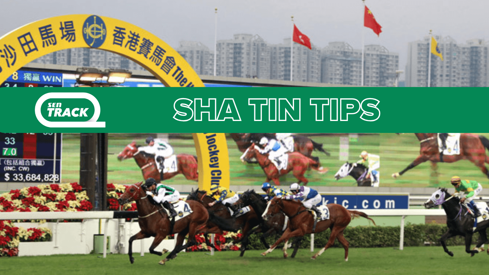 Hong Kong racing: Sunday selections at Sha Tin (08/03)