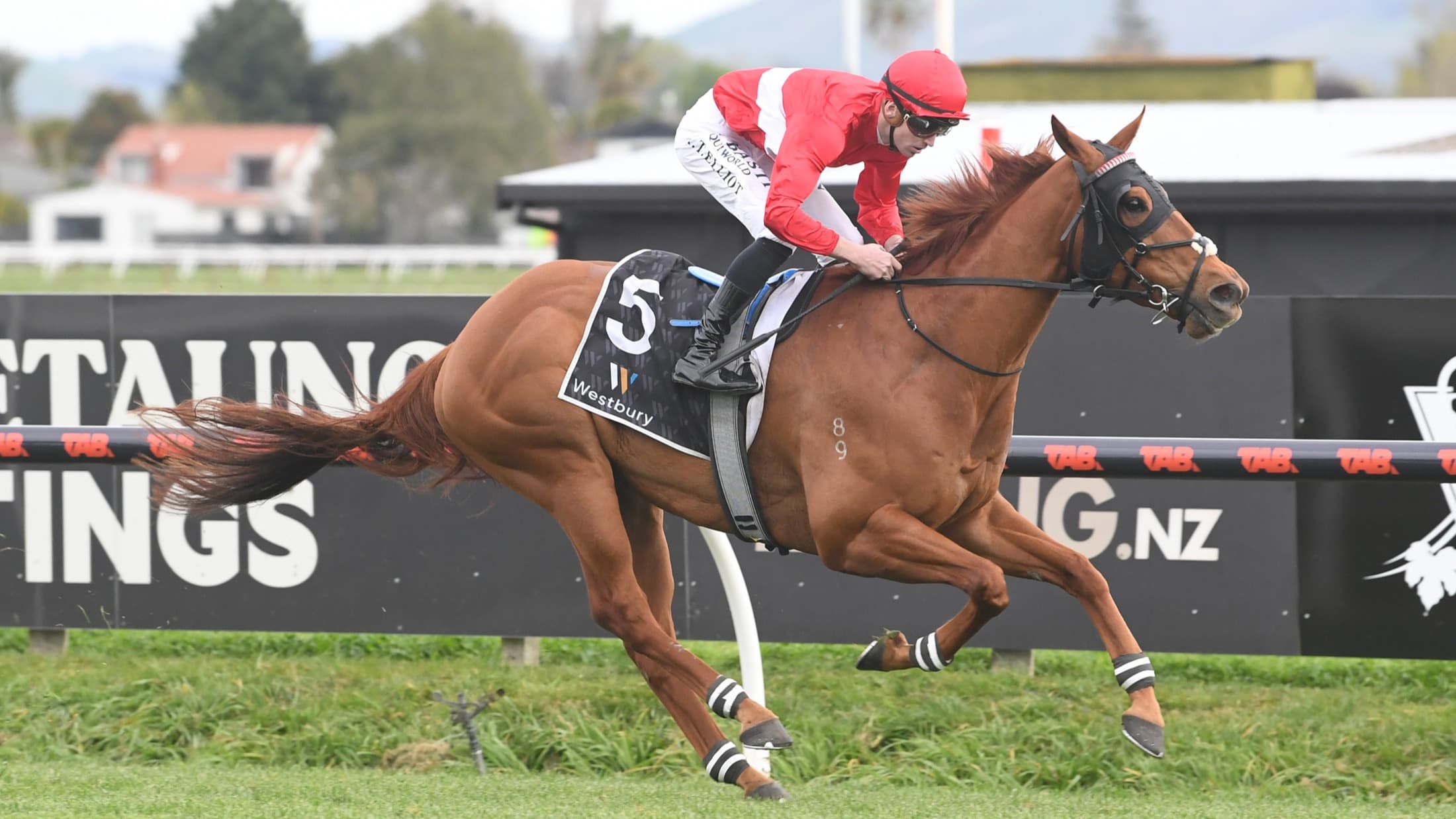 Oaks plan falling into place for promising filly