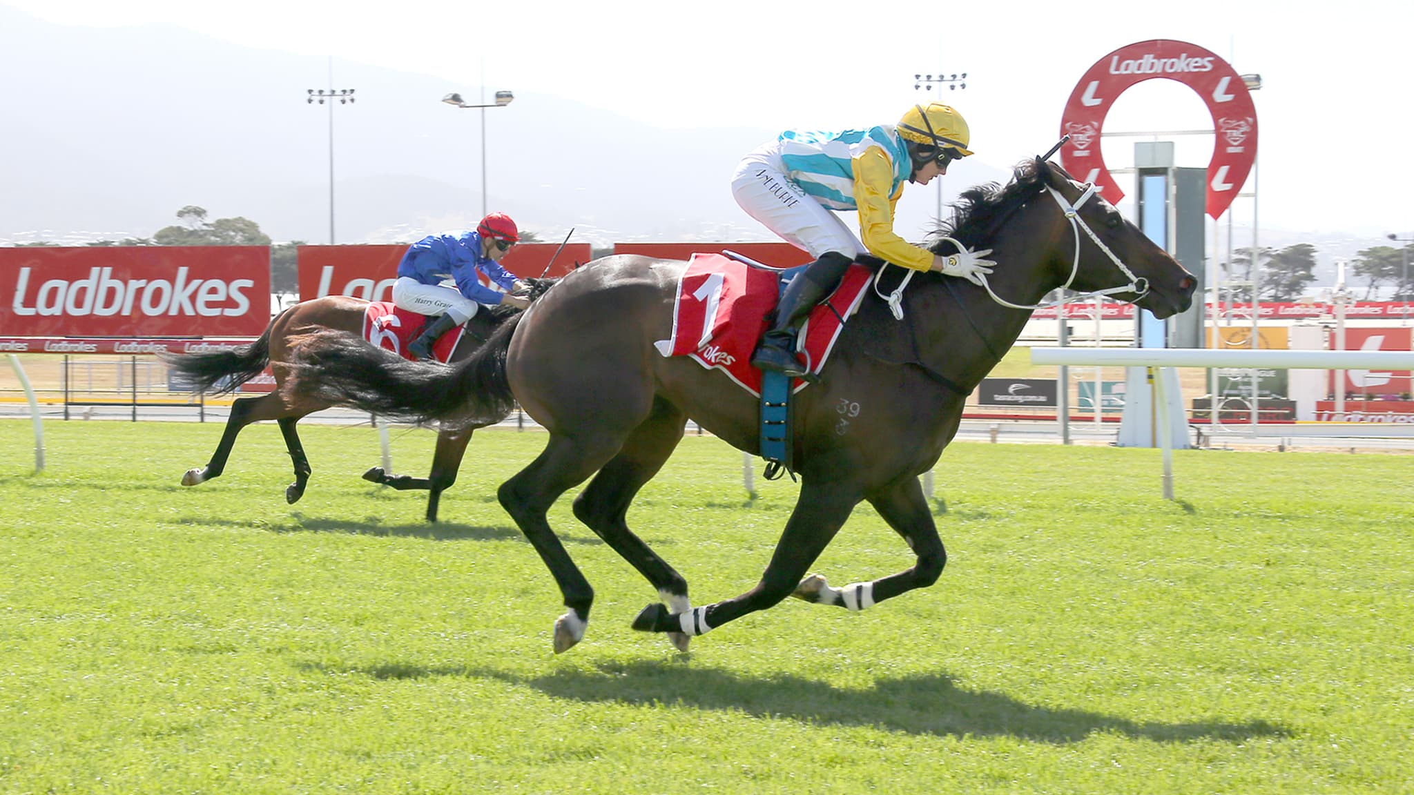 Colin McNiff's Friday racing preview at Launceston (20/02)