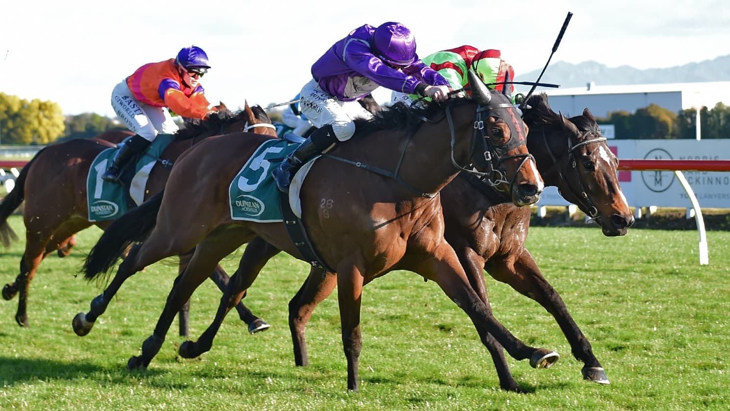 Group targets instore for Midnight Scandal following Te Rapa win
