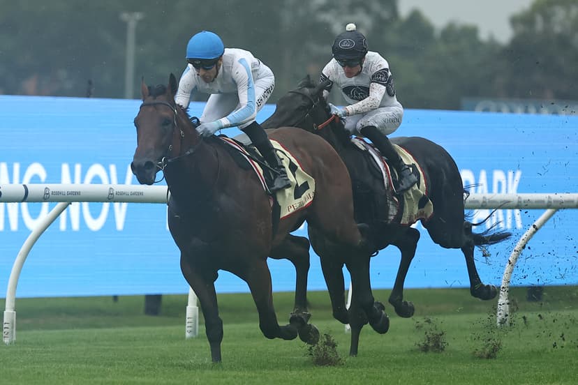 Sean Driver What’s the plan for dominant Sunlight winner Private Harry?