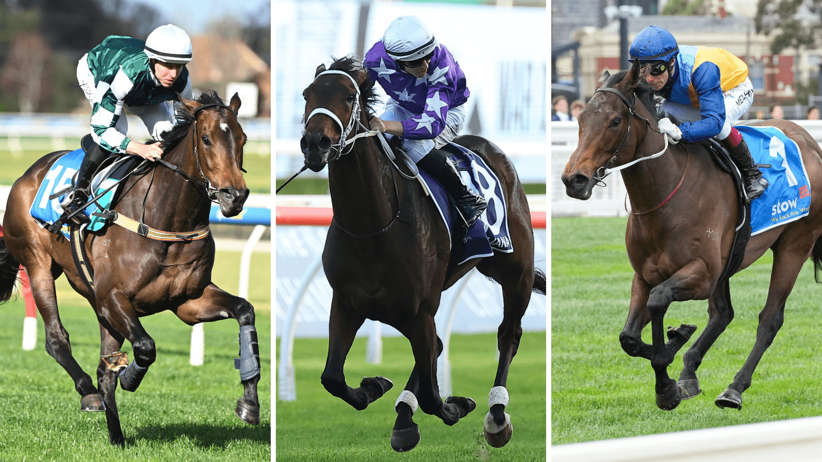 "License to print money": The emerging horses to follow this spring