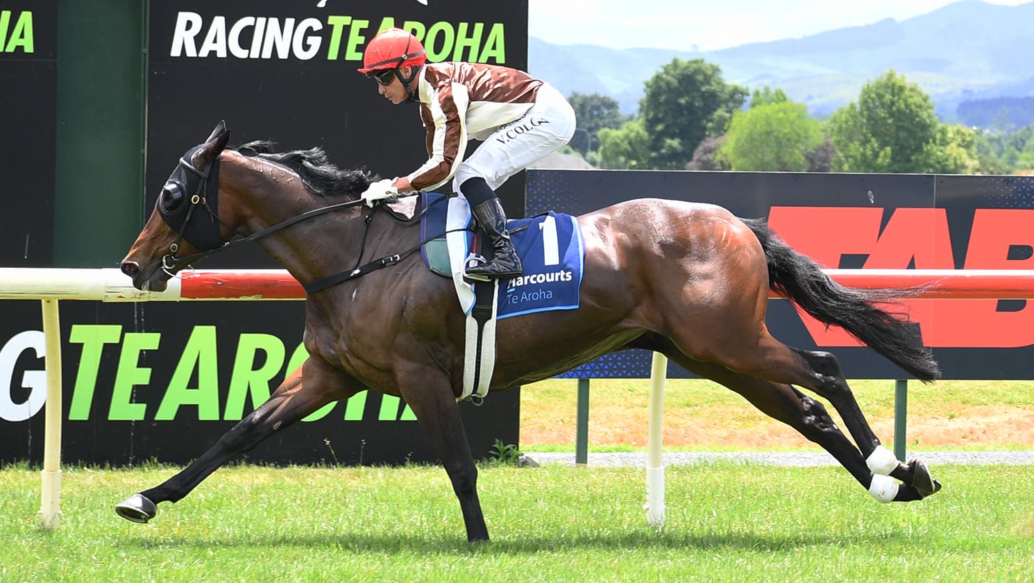 Kelsos’ millionaire mares on track for further riches