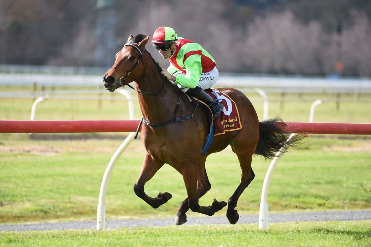 Family success rolling into new season for Bell