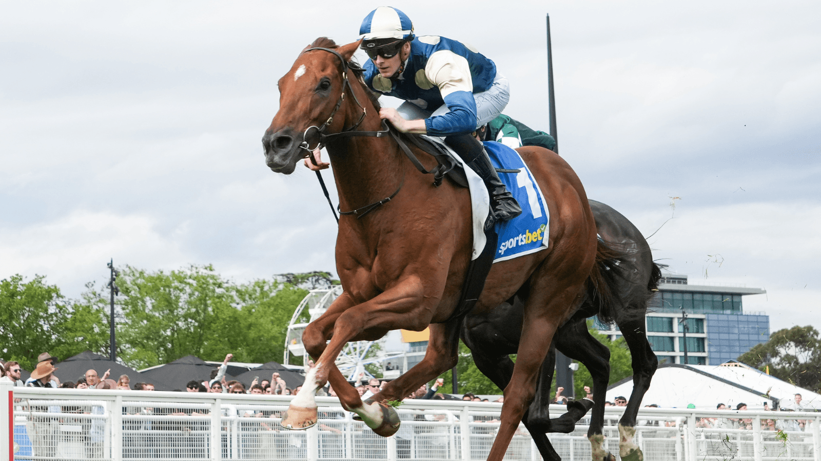 "Exciting": Is Jimmysstar becoming a miler in 2026?