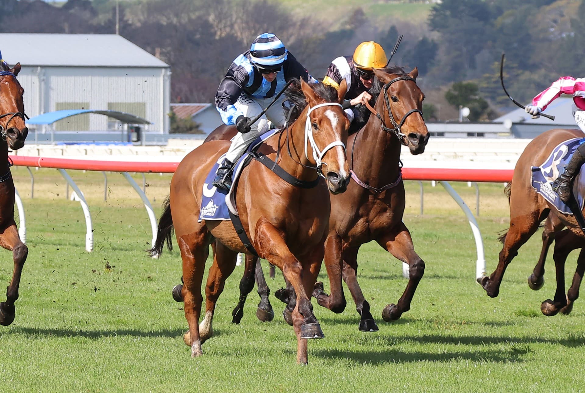 Humza Bey retains unbeaten record