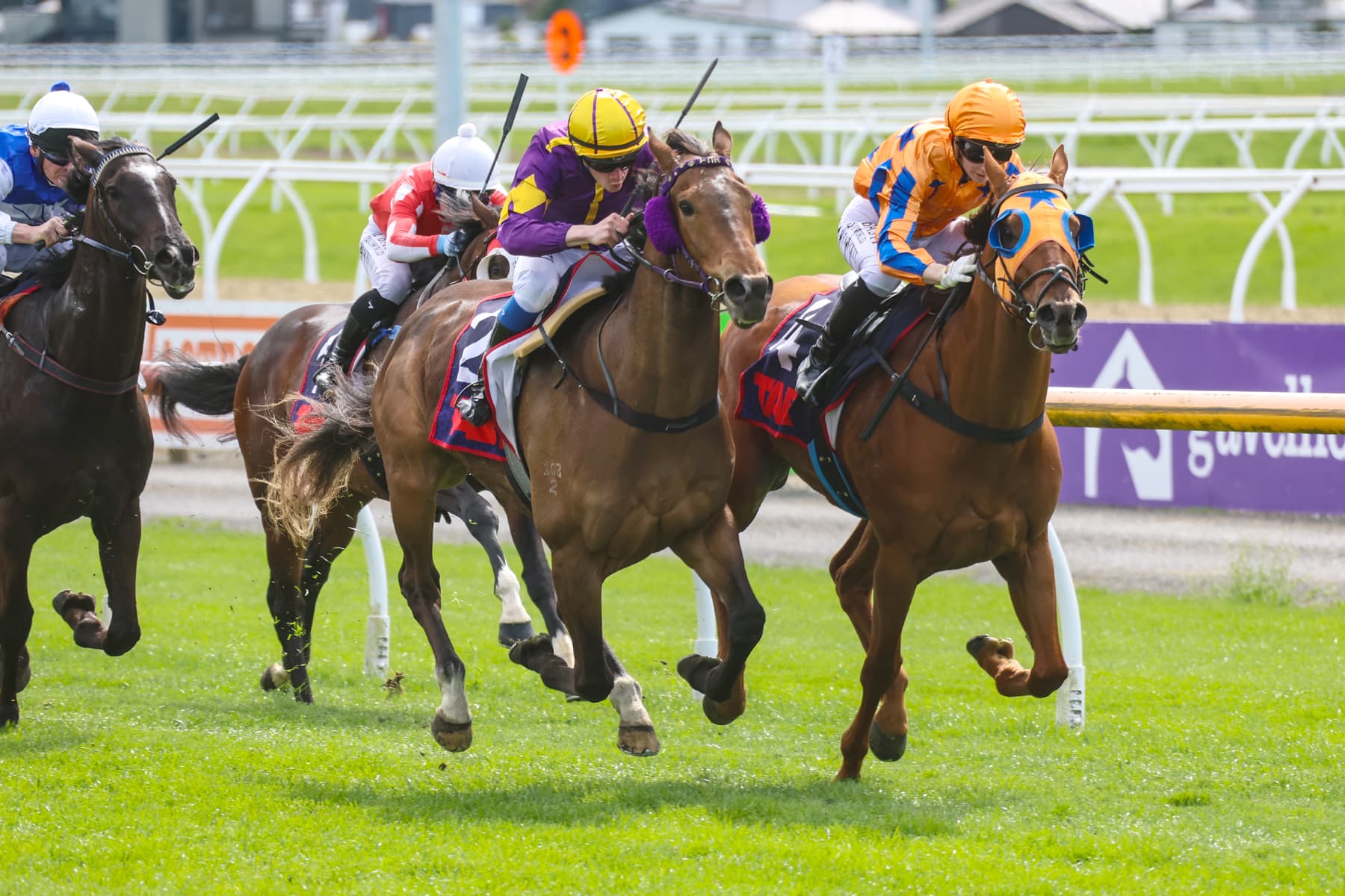 Robinson hoping to repeat history in Dunedin Guineas