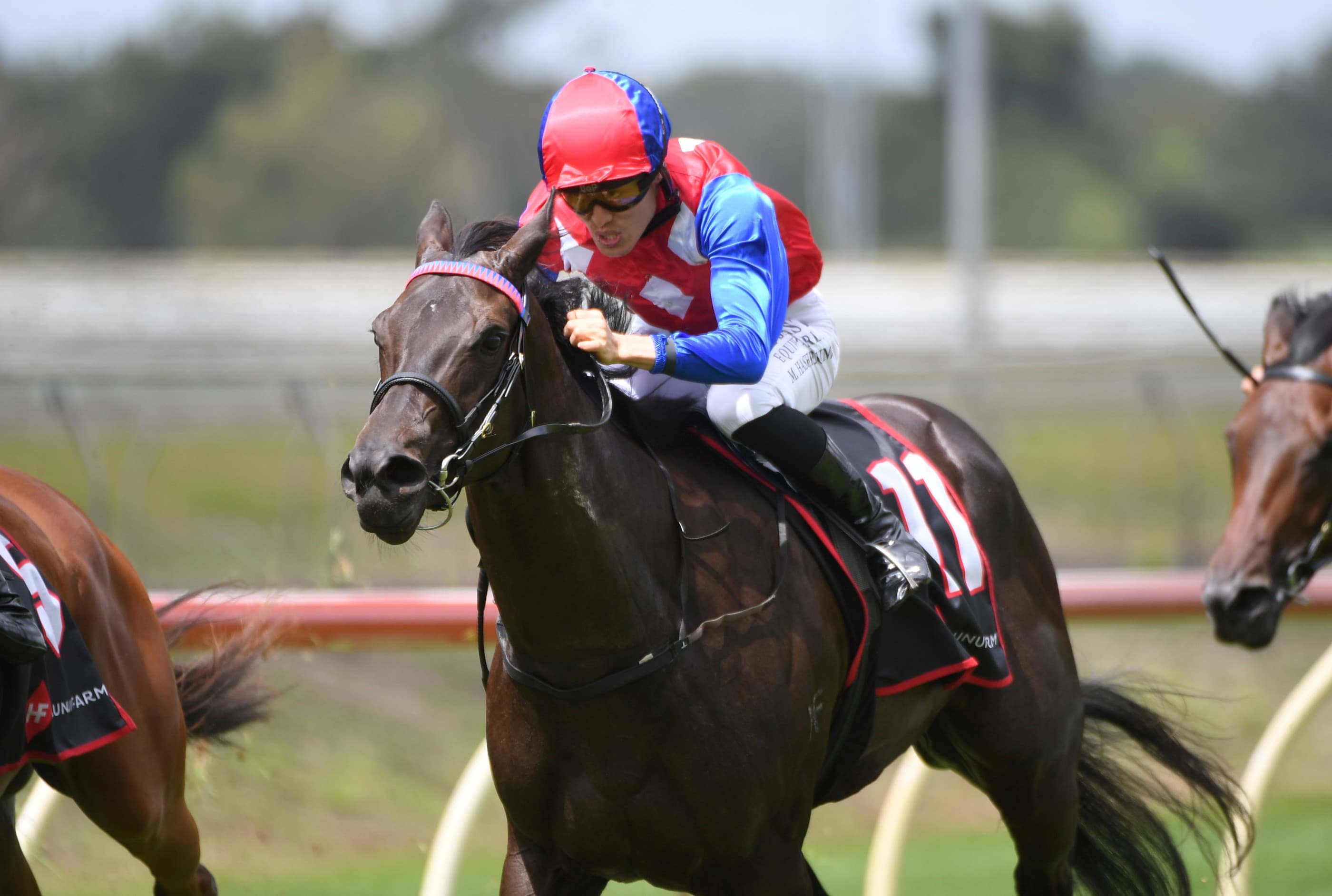 Logan hoping her fillies can snare more black-type