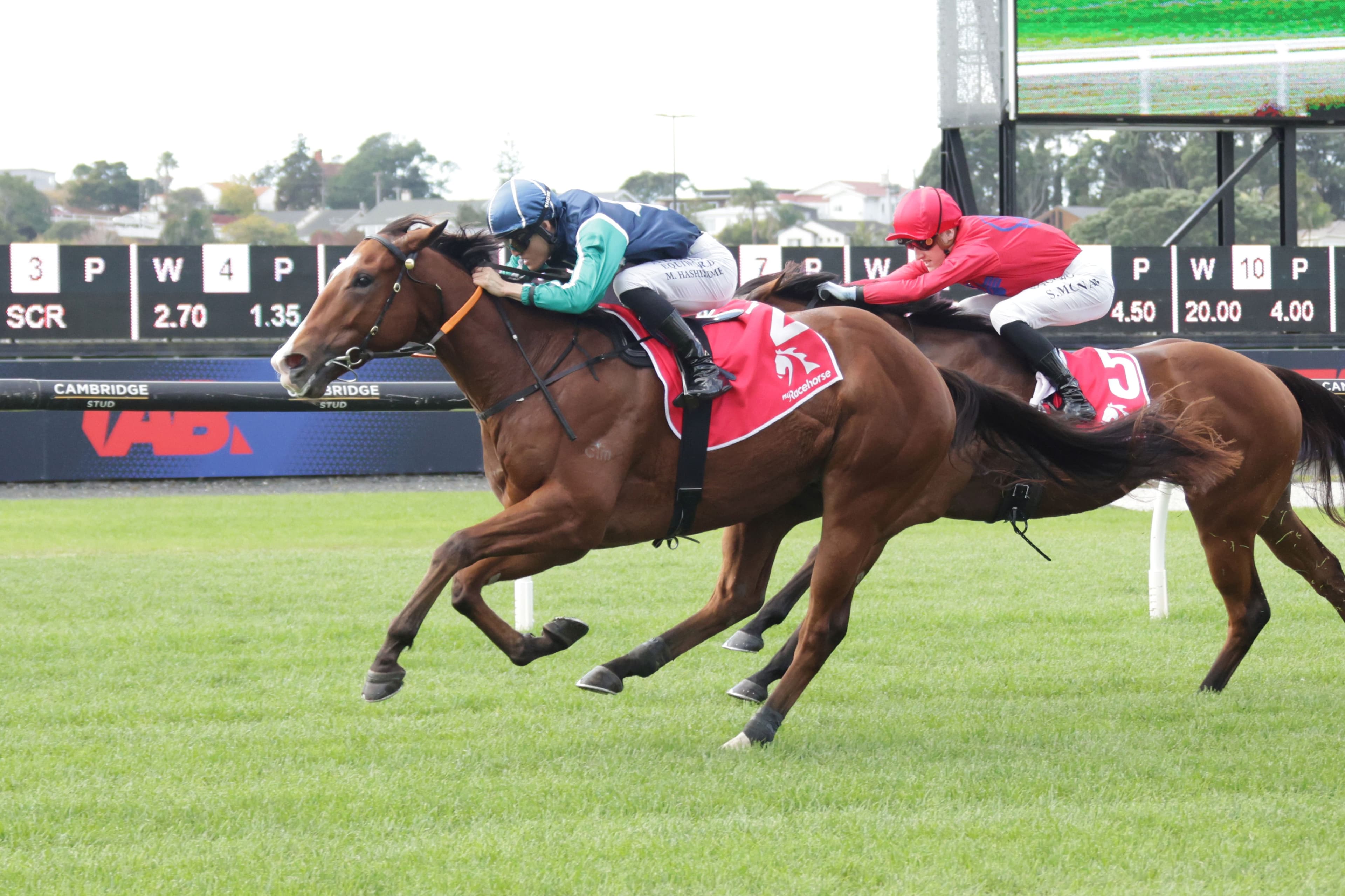 Nolans dine out on Dee Oysters debut win