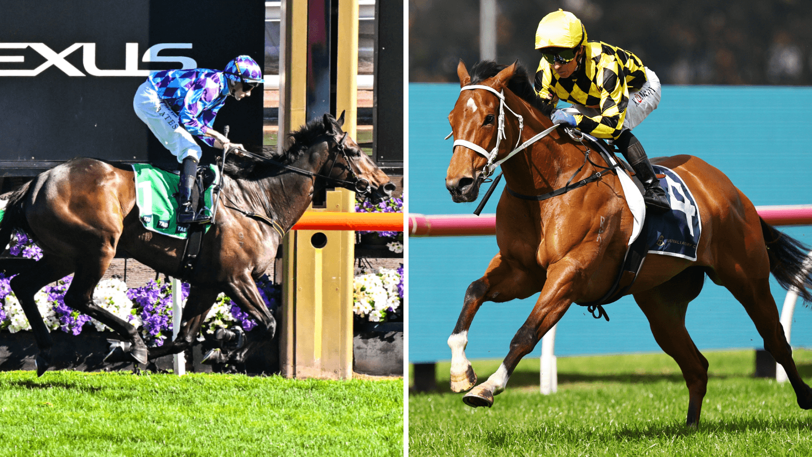 Will Pride Of Jenni “expose” Autumn Glow?