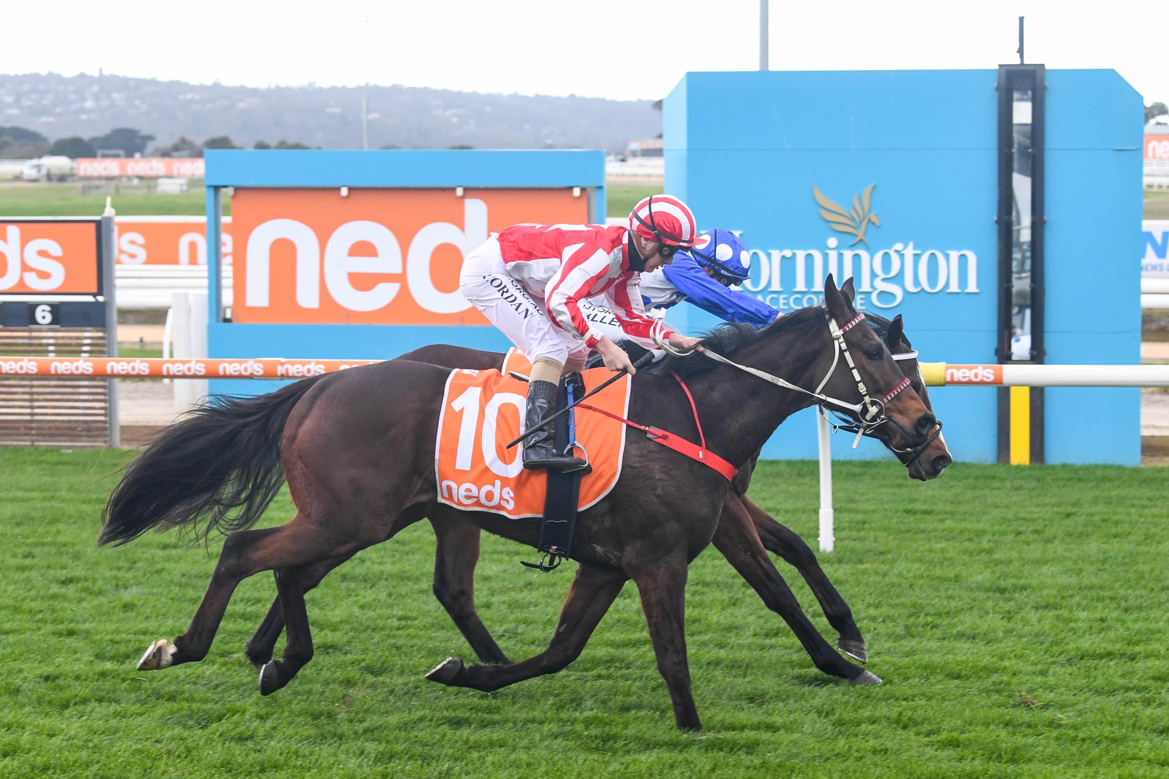 SEN Track: Cam Luke and David Taggart's best bets (05/01)