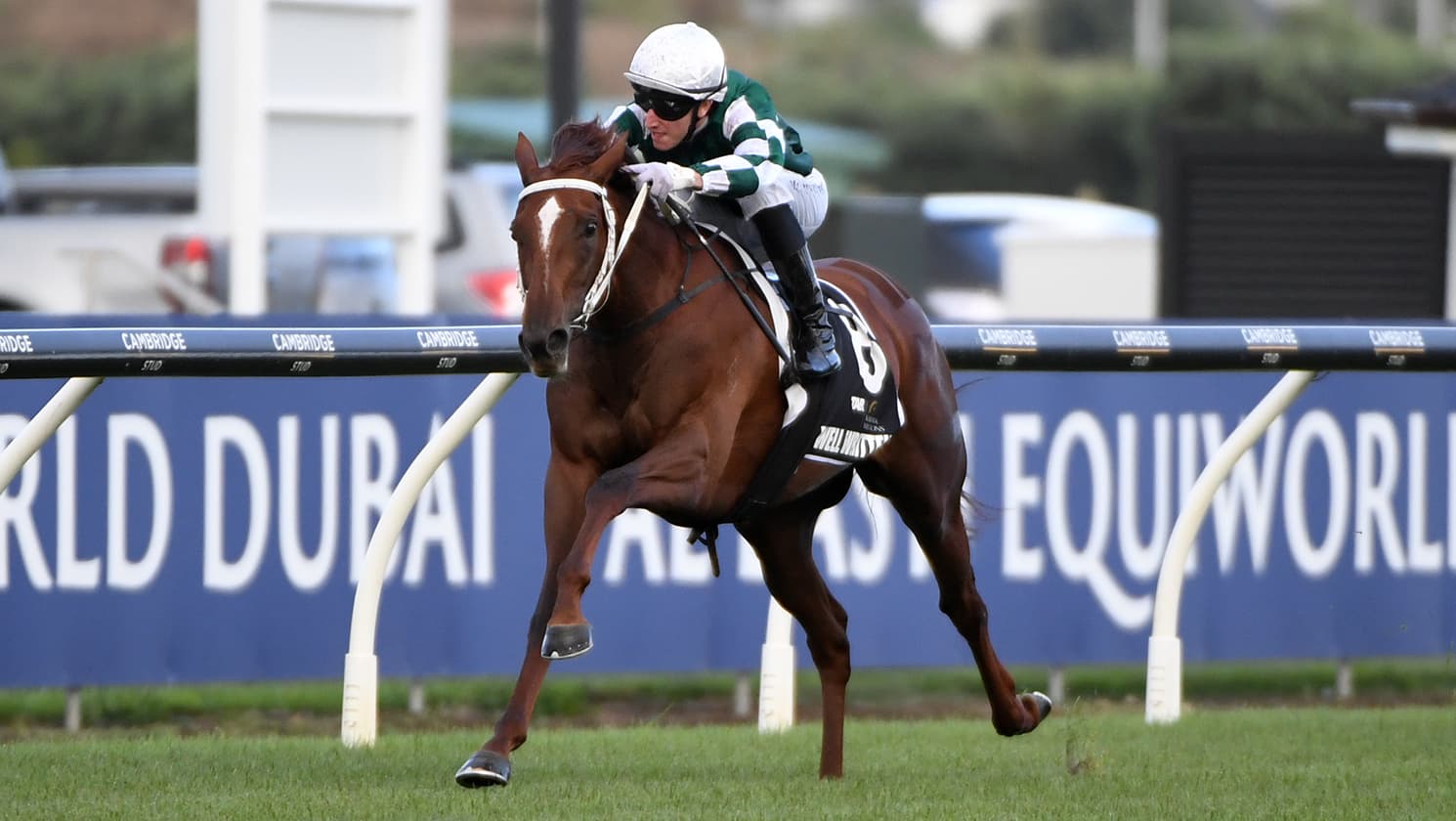 Well Written dominates Karaka Millions 3YO