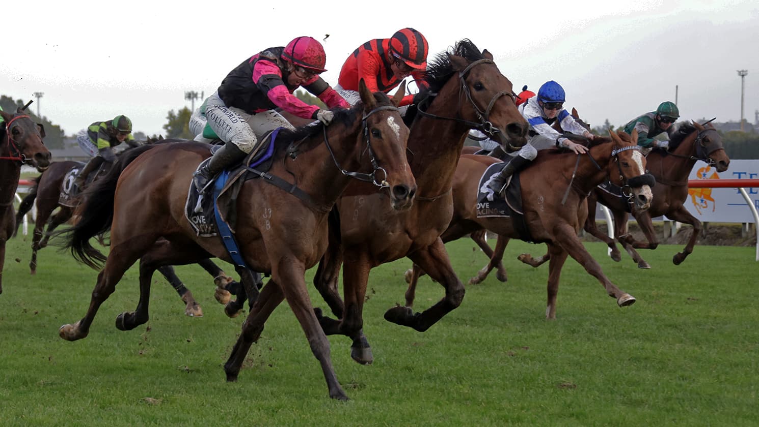 Diamond Jak defends Taumarunui Gold Cup crown