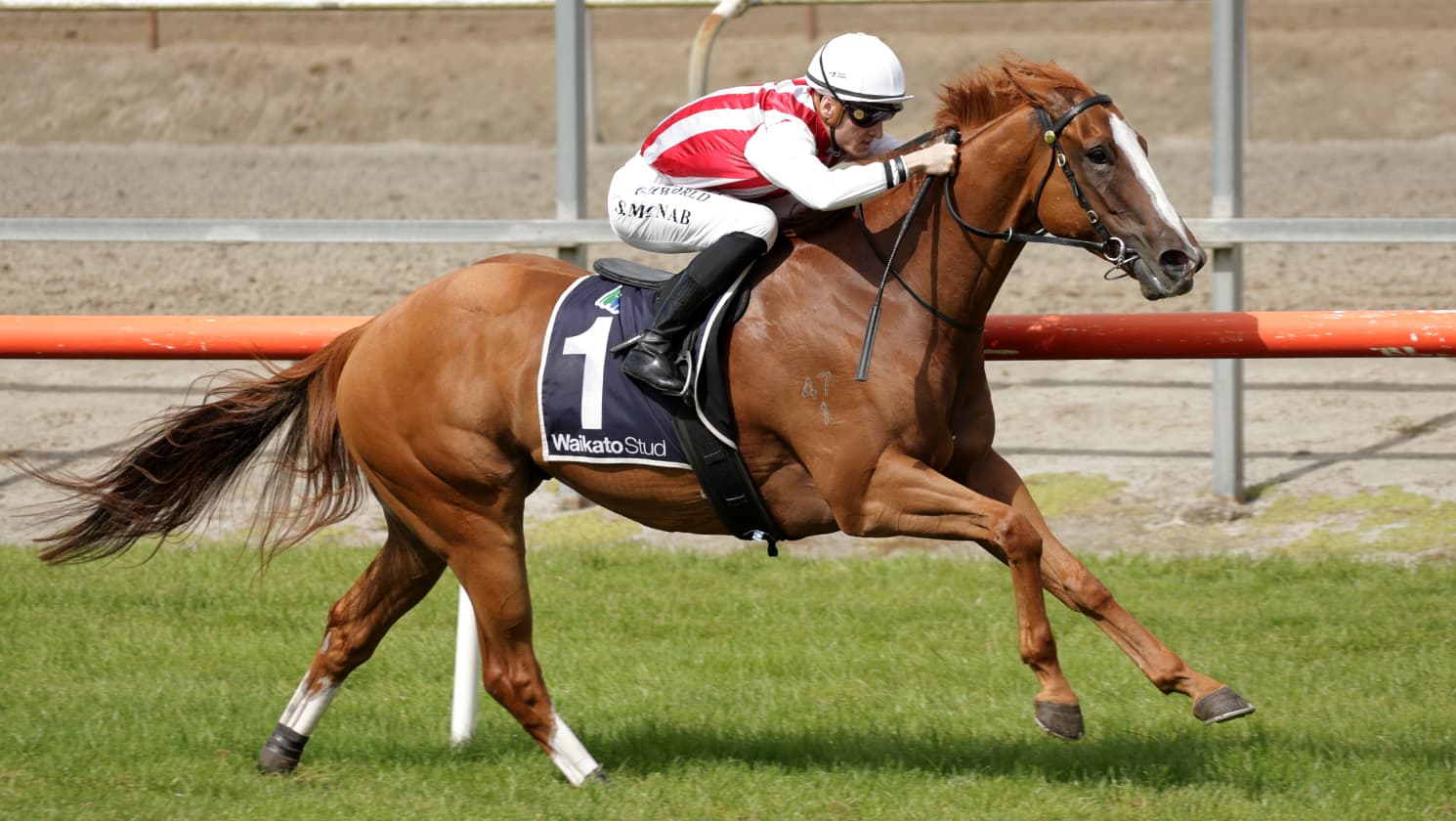 Injury plagued sprinter makes successful return at Matamata