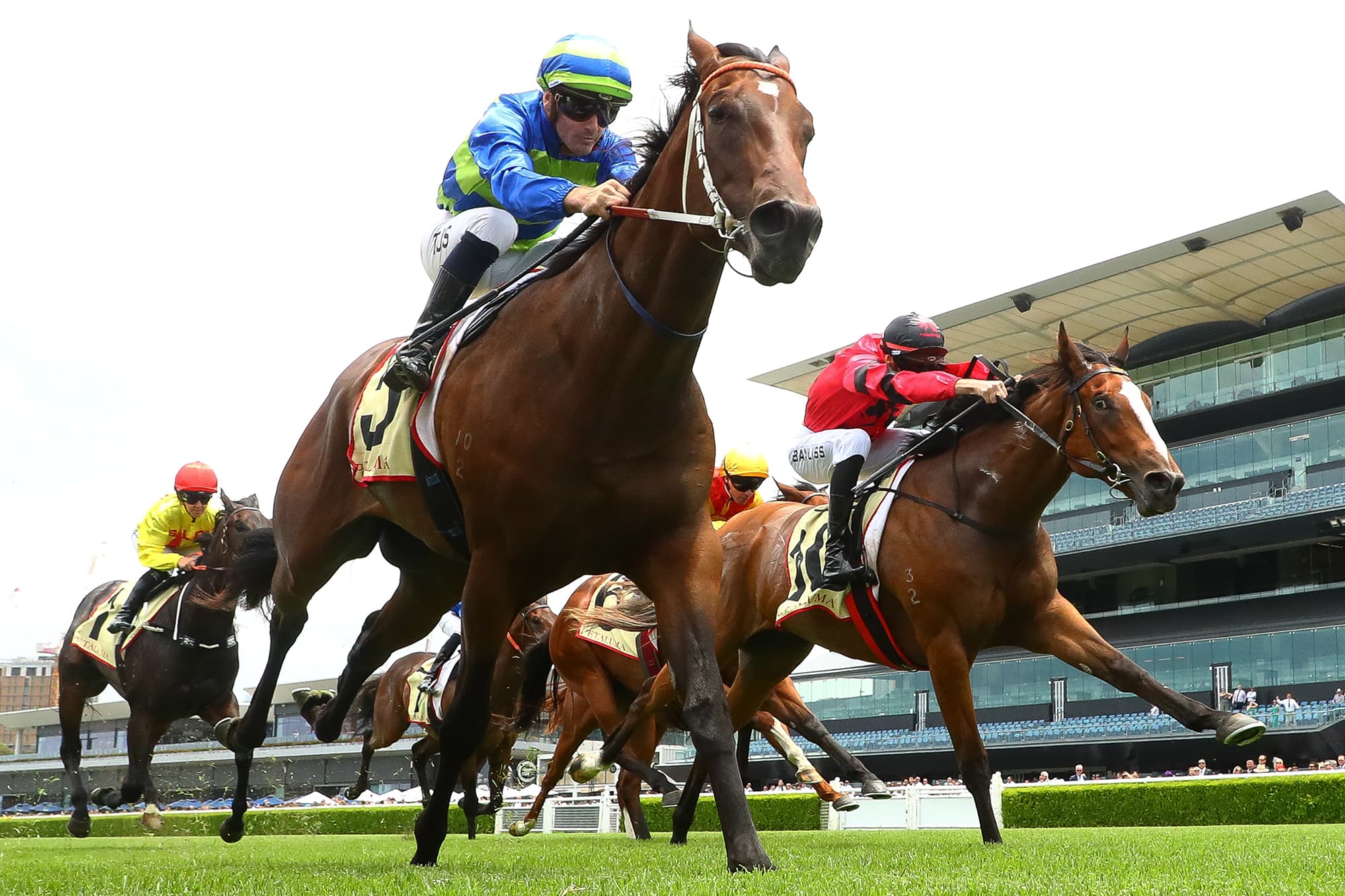 “We’re here to win”: Hawkes stable in pursuit of Magic Million riches with promising colt