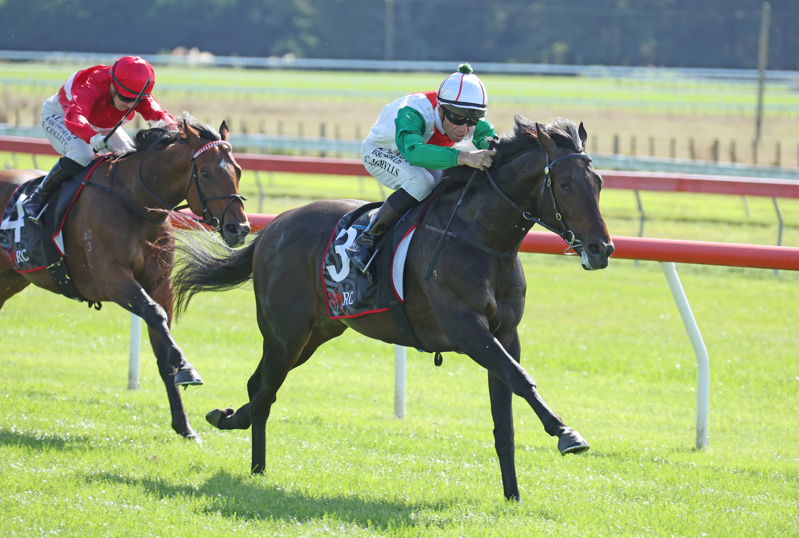 Zame colours to the fore once more