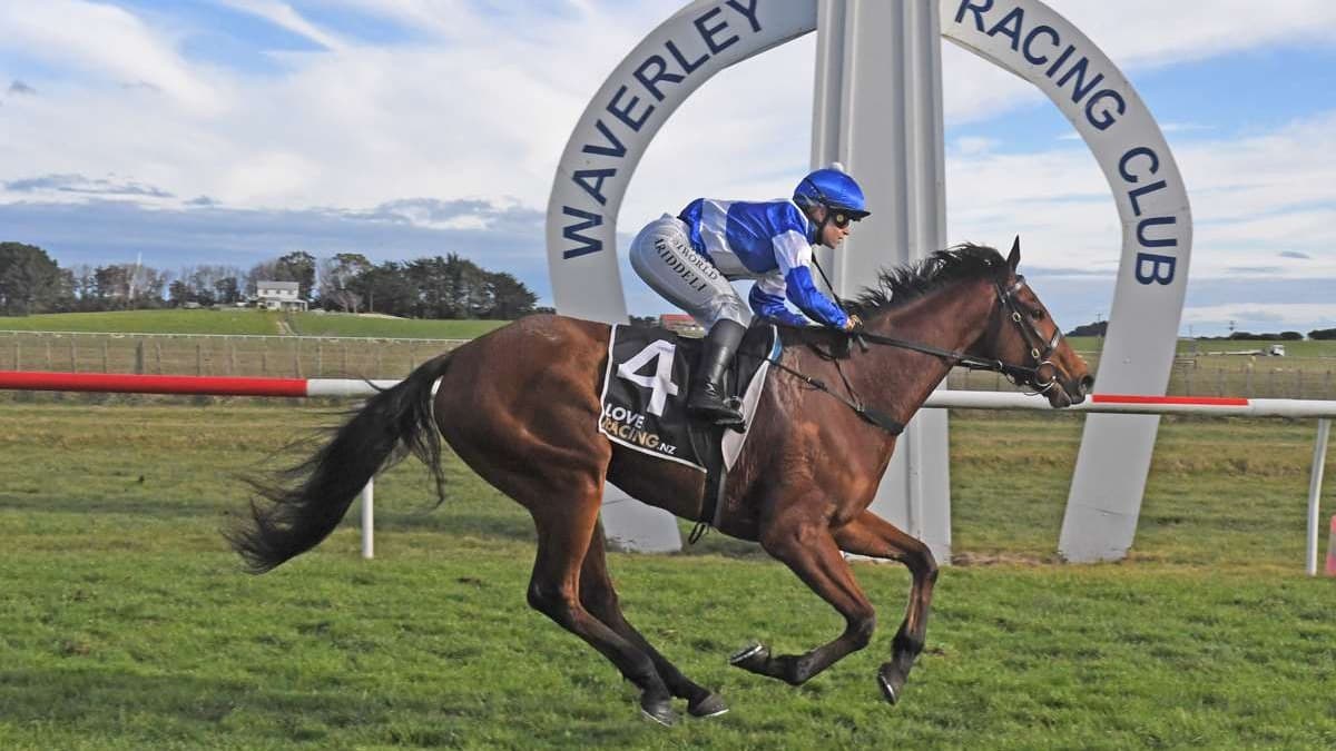 Bonnard bound for Riccarton after Waverley win