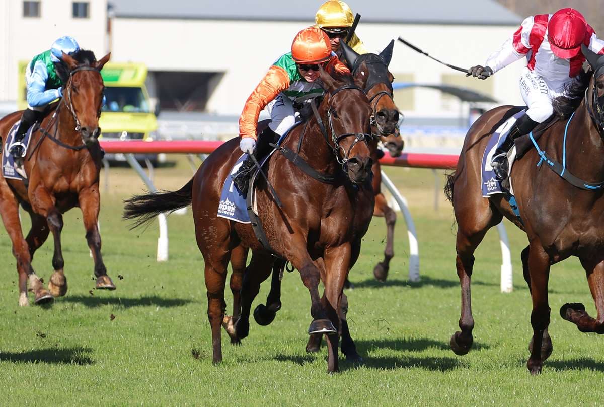 Cvitanovich looking to Knock Off stakes victory