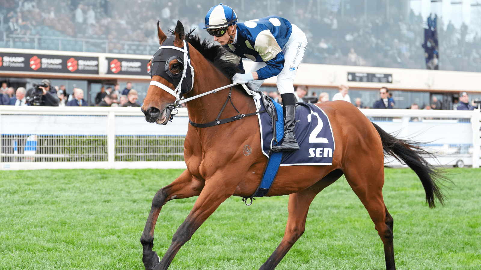 Buckaroo confirmed for Cox Plate, bypasses Caulfield Cup