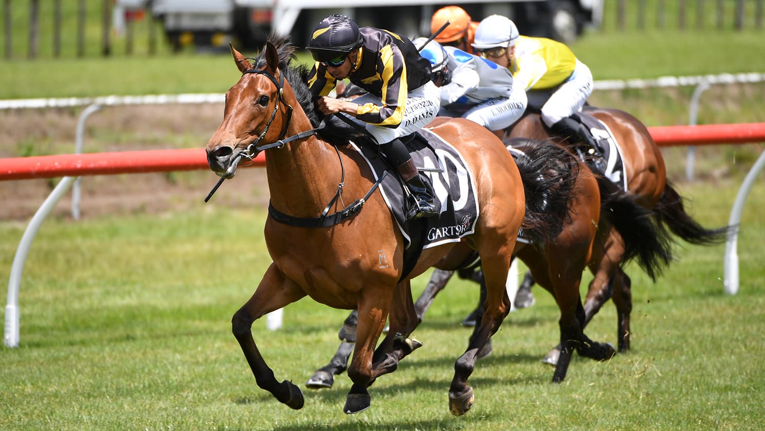 Rising Star lives up to her name with Tauranga upset