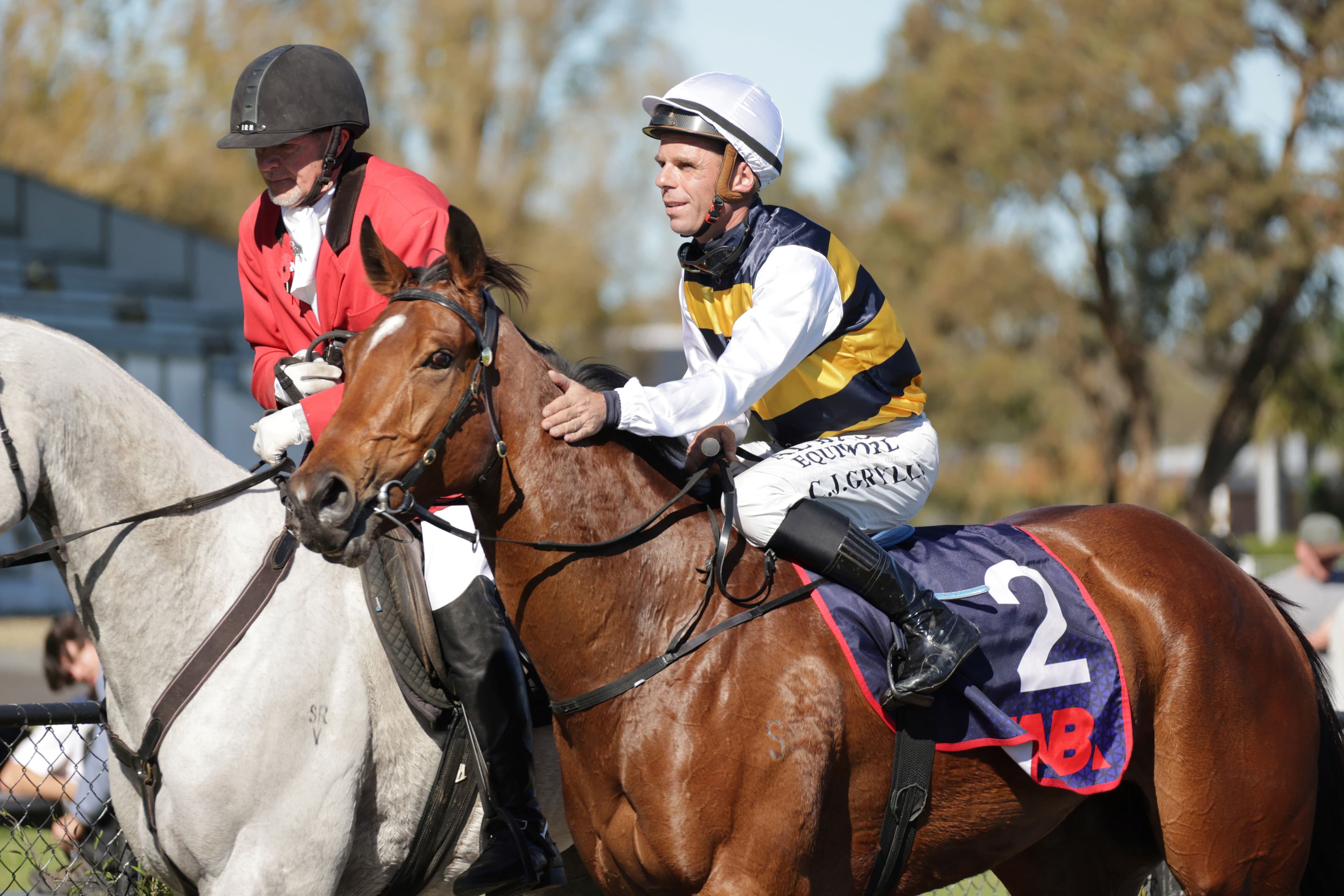 Golden opportunity with quality filly
