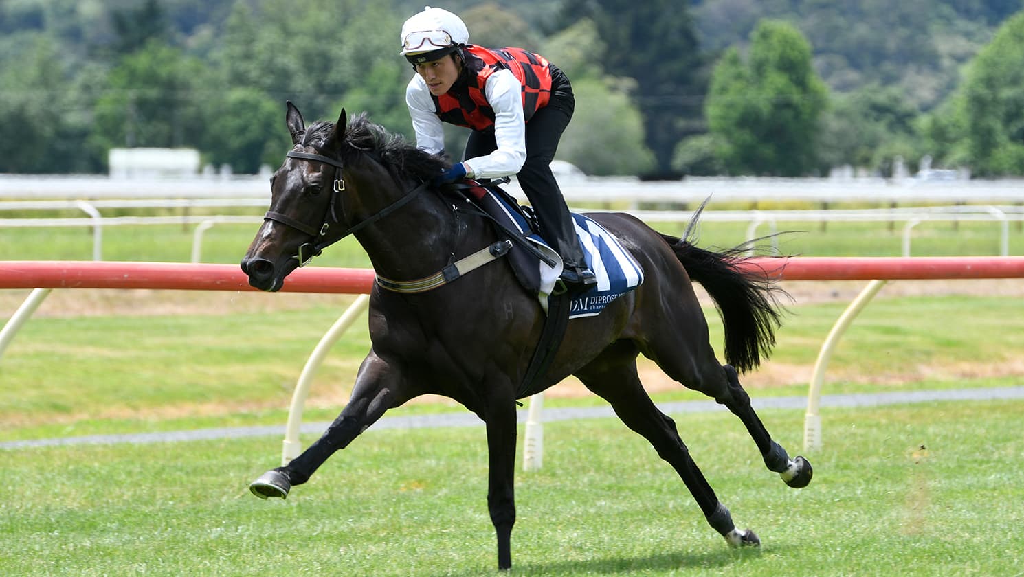 Bridesmaid La Crique in tune for next Group One assignment