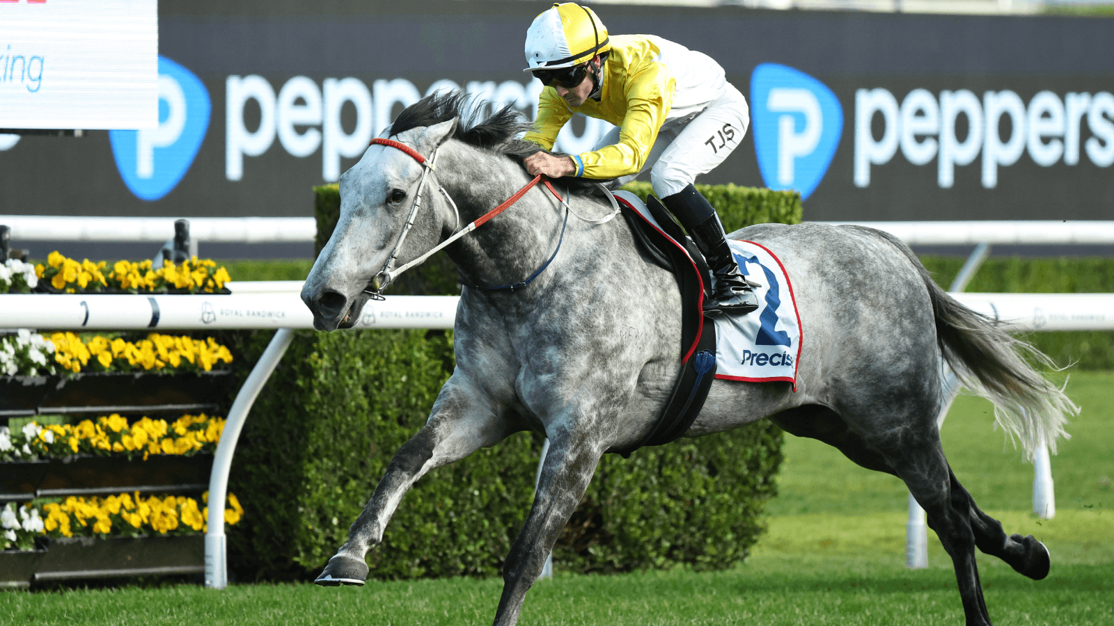 “He’s unbelievable”… but Hawkes keeping a lid on Briasa