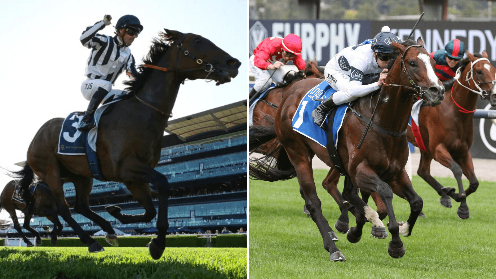 The “really classy” mare primed for the Railway as Overpass looks to defend Winterbottom crown
