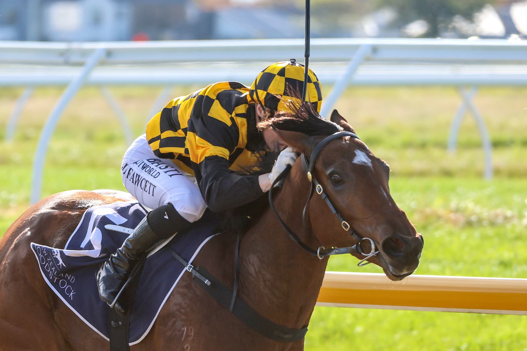 Stakes winning youngster ready for Ellerslie return