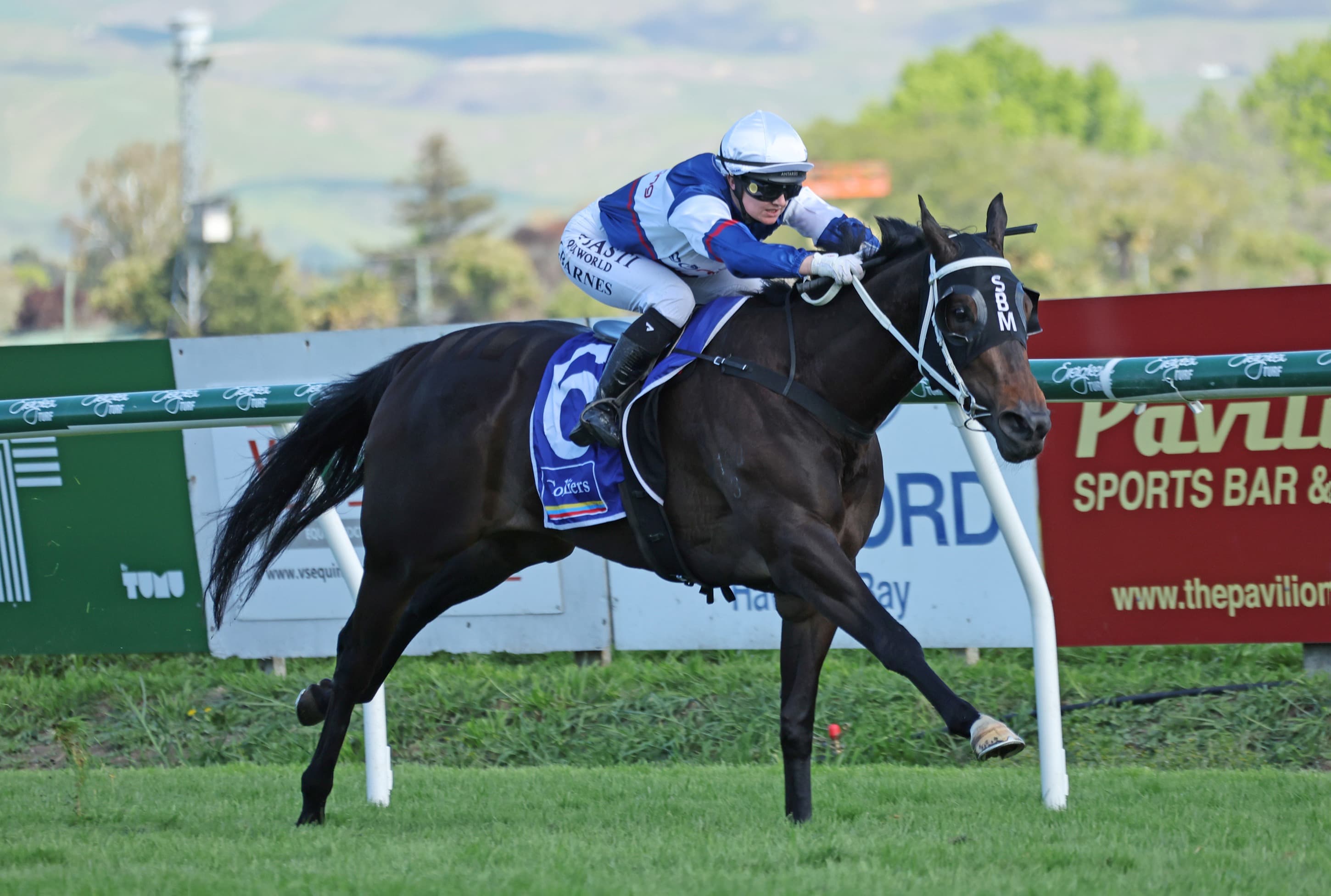 No distance fears with in-form Guineas contender