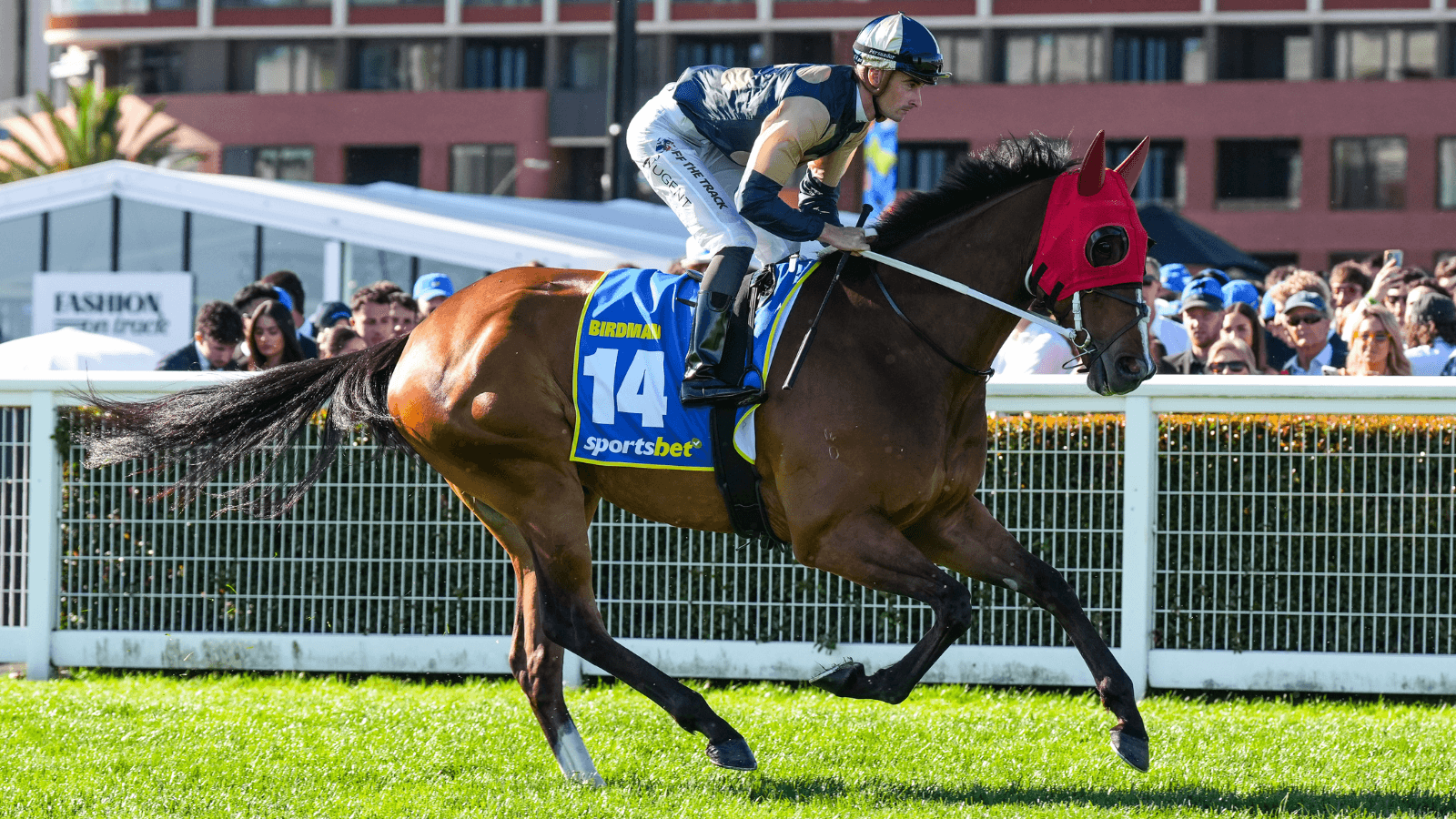 YES or NO: The horses that can win the Peter Young Stakes