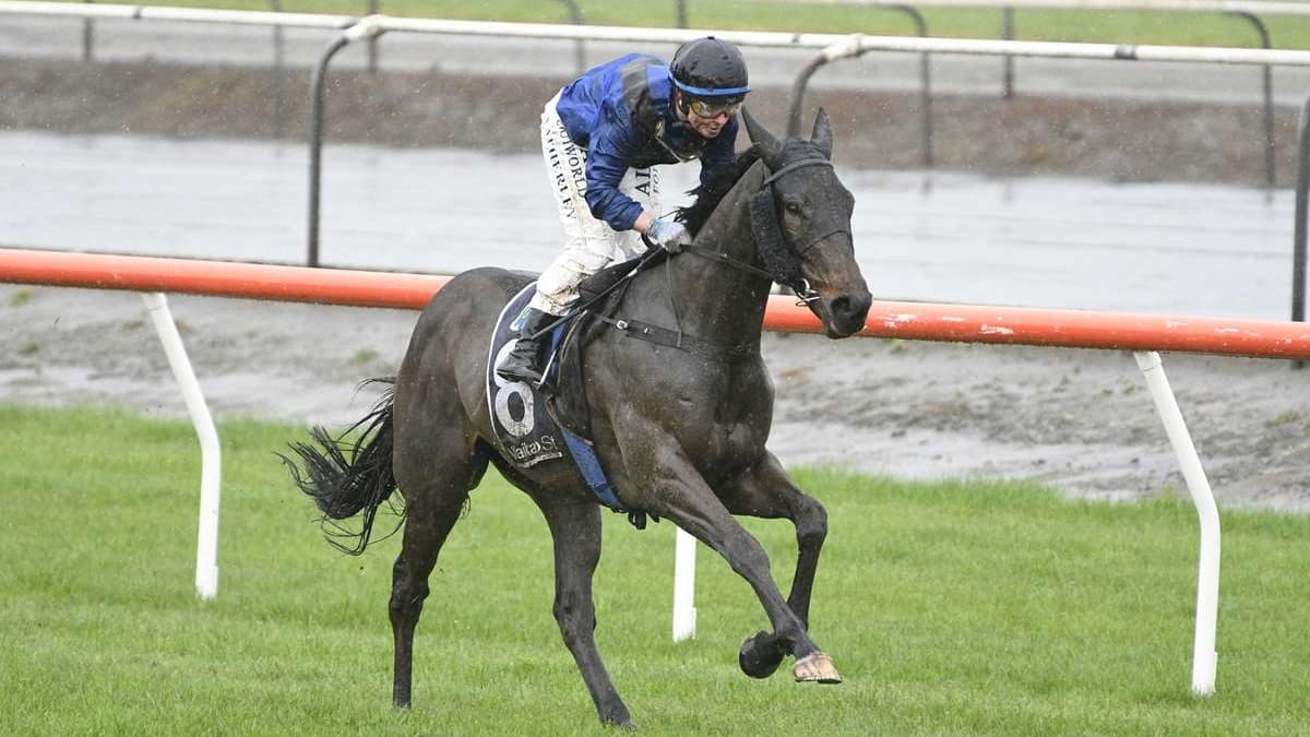 Manners the key for Taylor Square in Bonecrusher