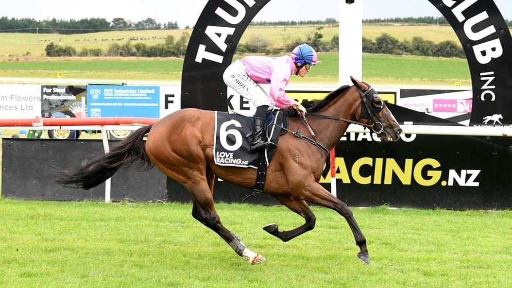 Sugah Sweet back for another shot at Breeders