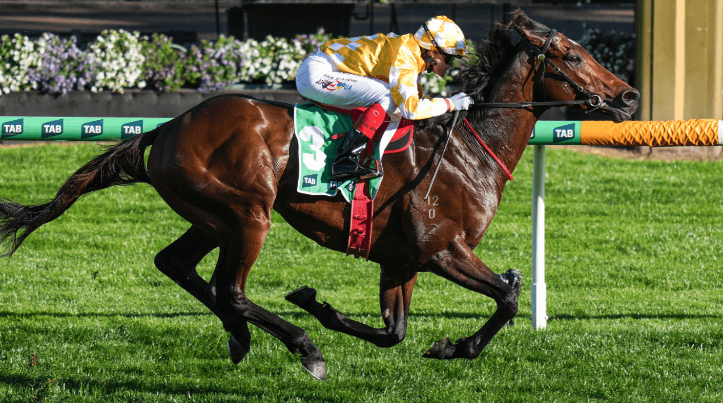 Melbourne Cup favourite scratched from Spring Carnival