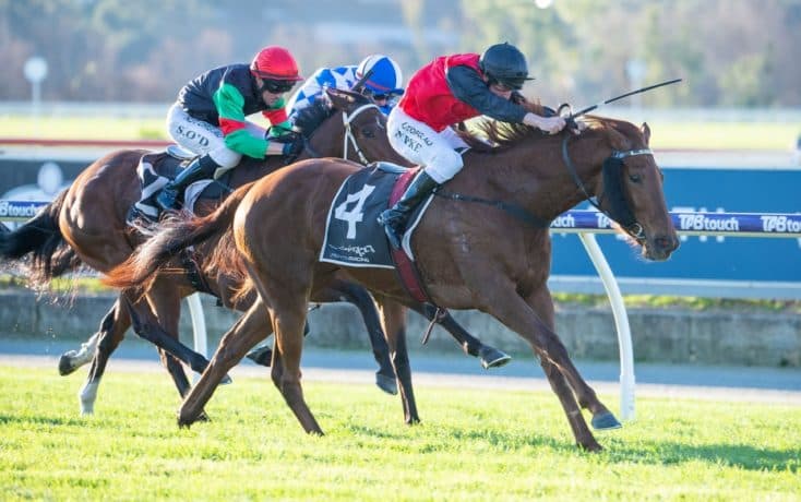 SENTrack: Wednesday best bets from Peter Anthonisz & Miles Pfitzner (05/03)