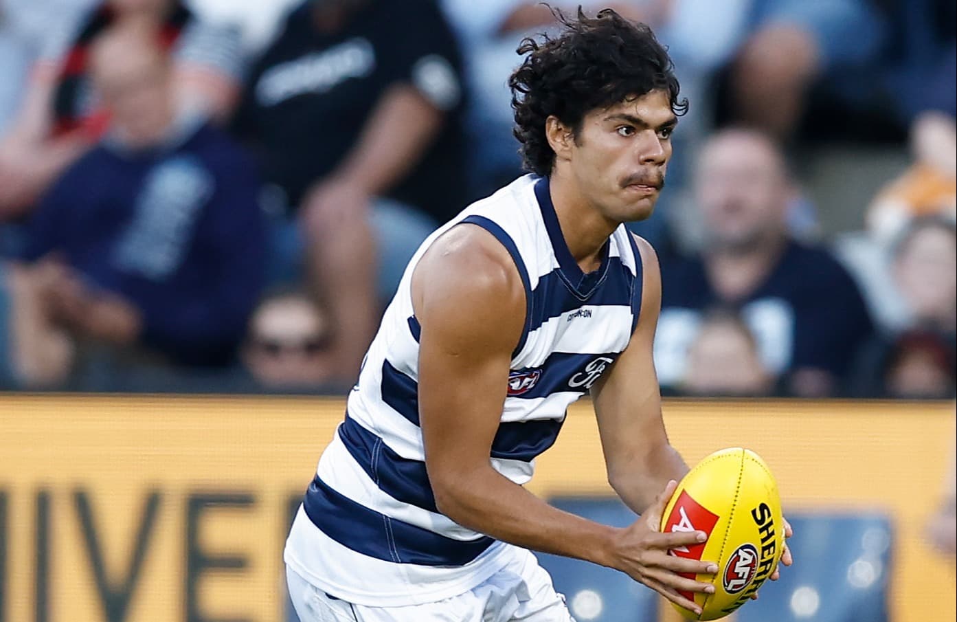 Five left-field SuperCoach options for your team in 2025