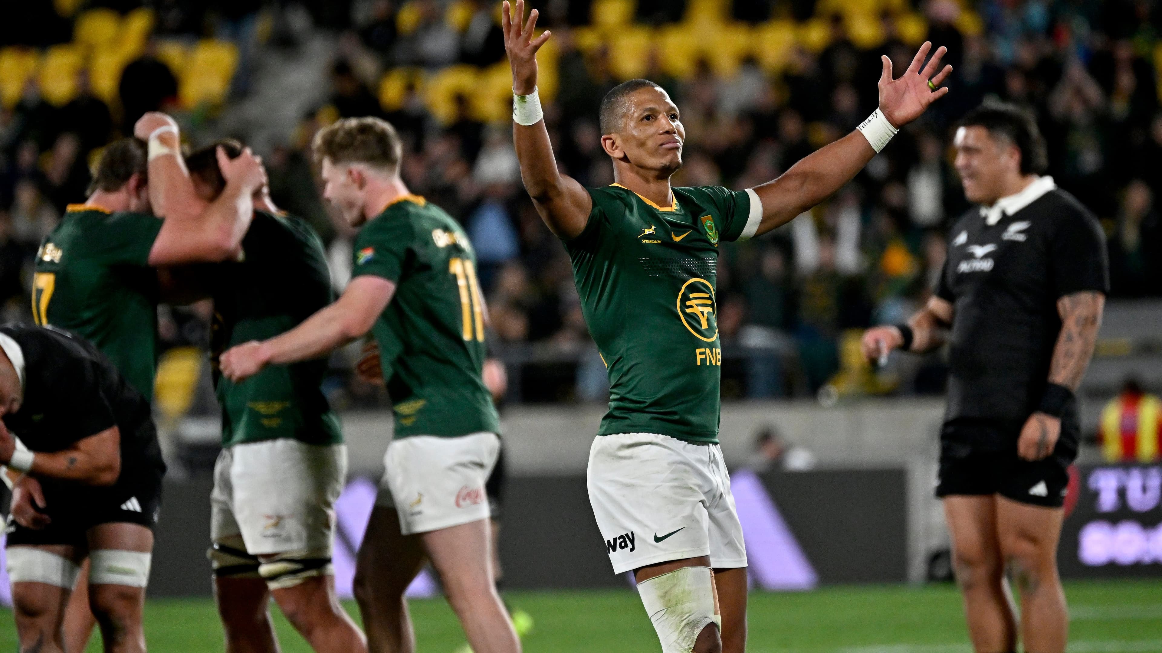 Springboks slaughter All Blacks in record win