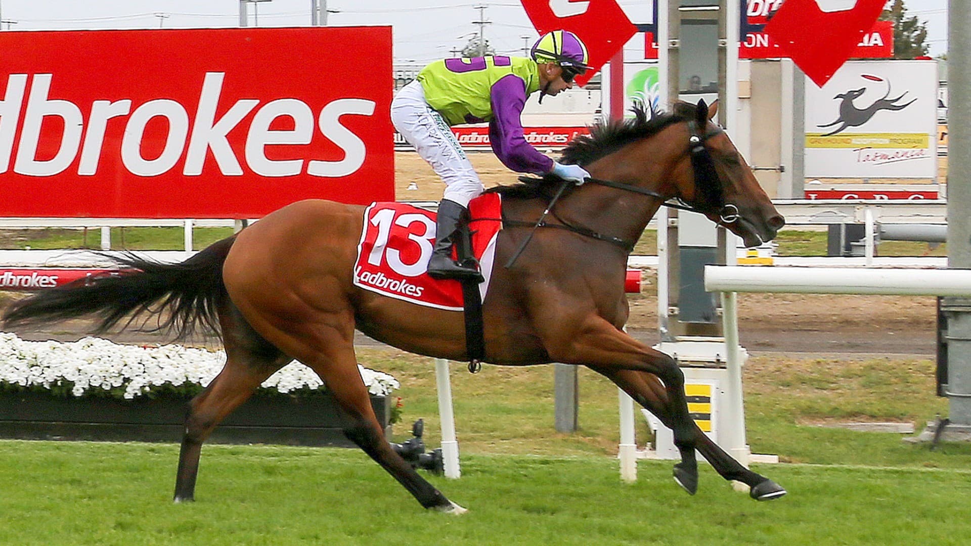 Noonan's smokey for the Oakleigh Plate