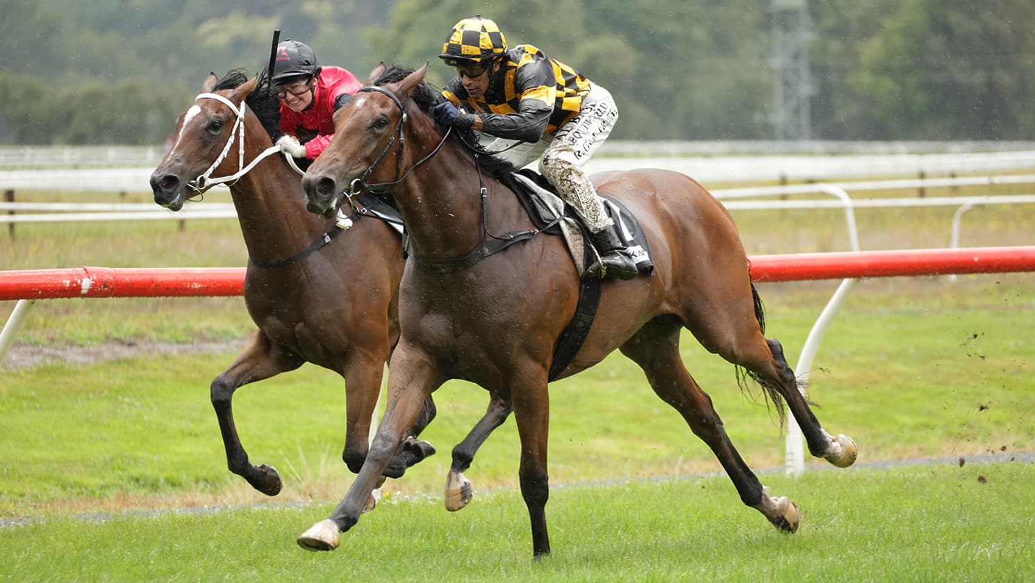 Anxious wait to state the obvious with promising filly