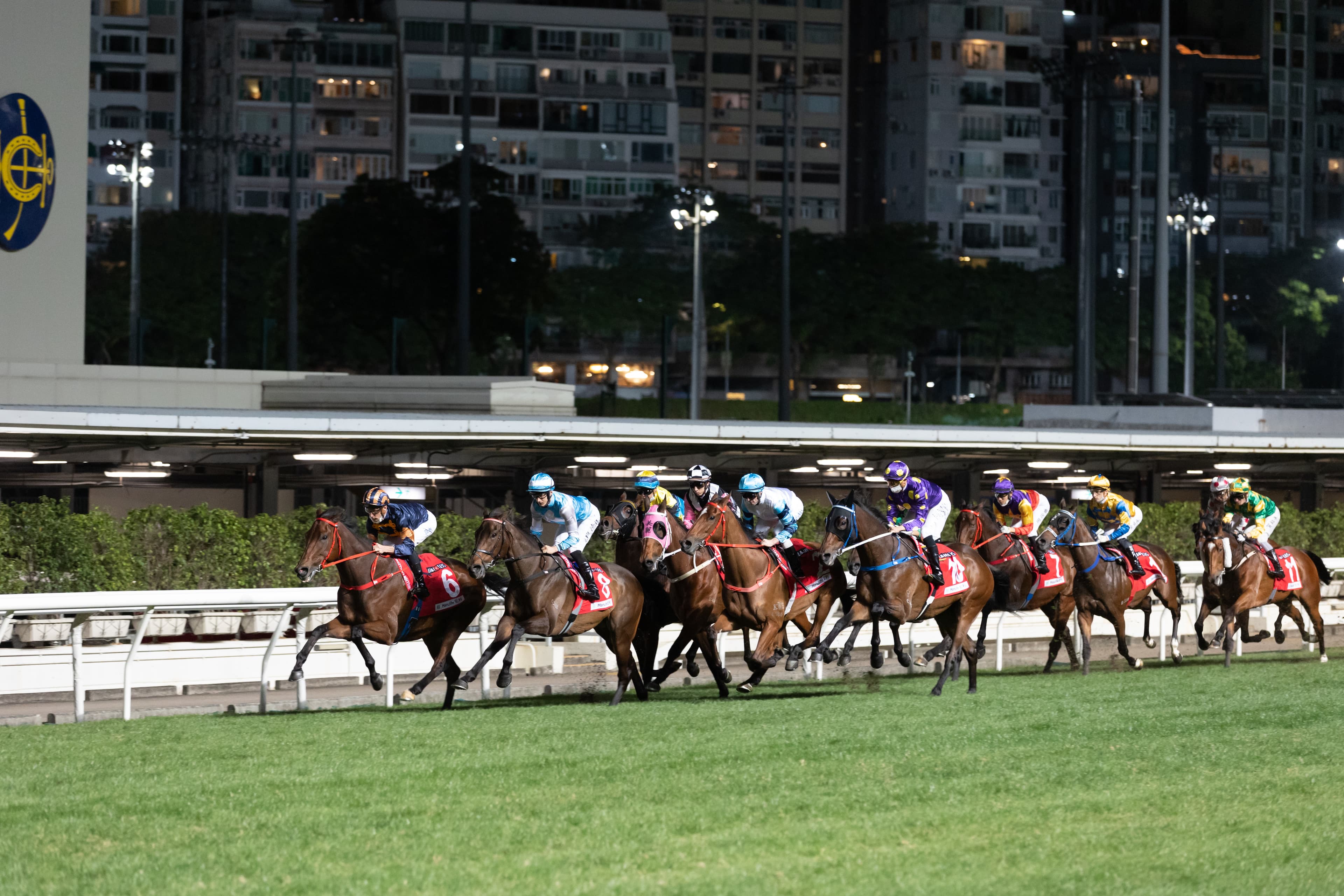 Wednesday best bets and full selections at Happy Valley (04/12)