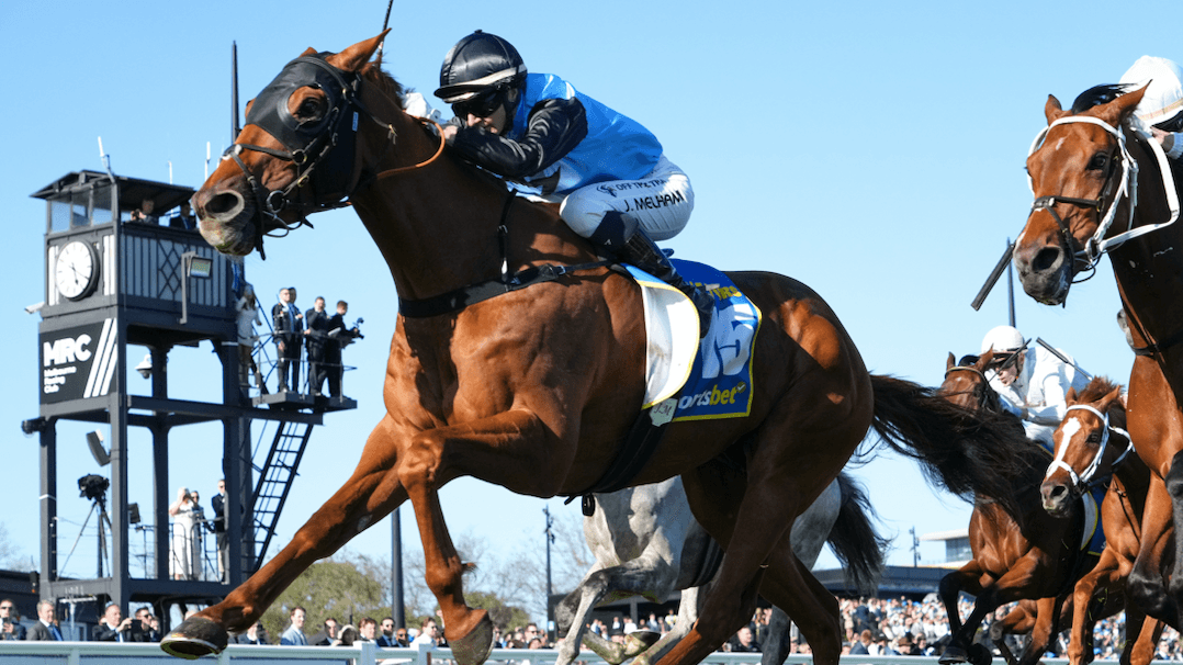 'All systems go' for Melbourne Cup with Half Yours