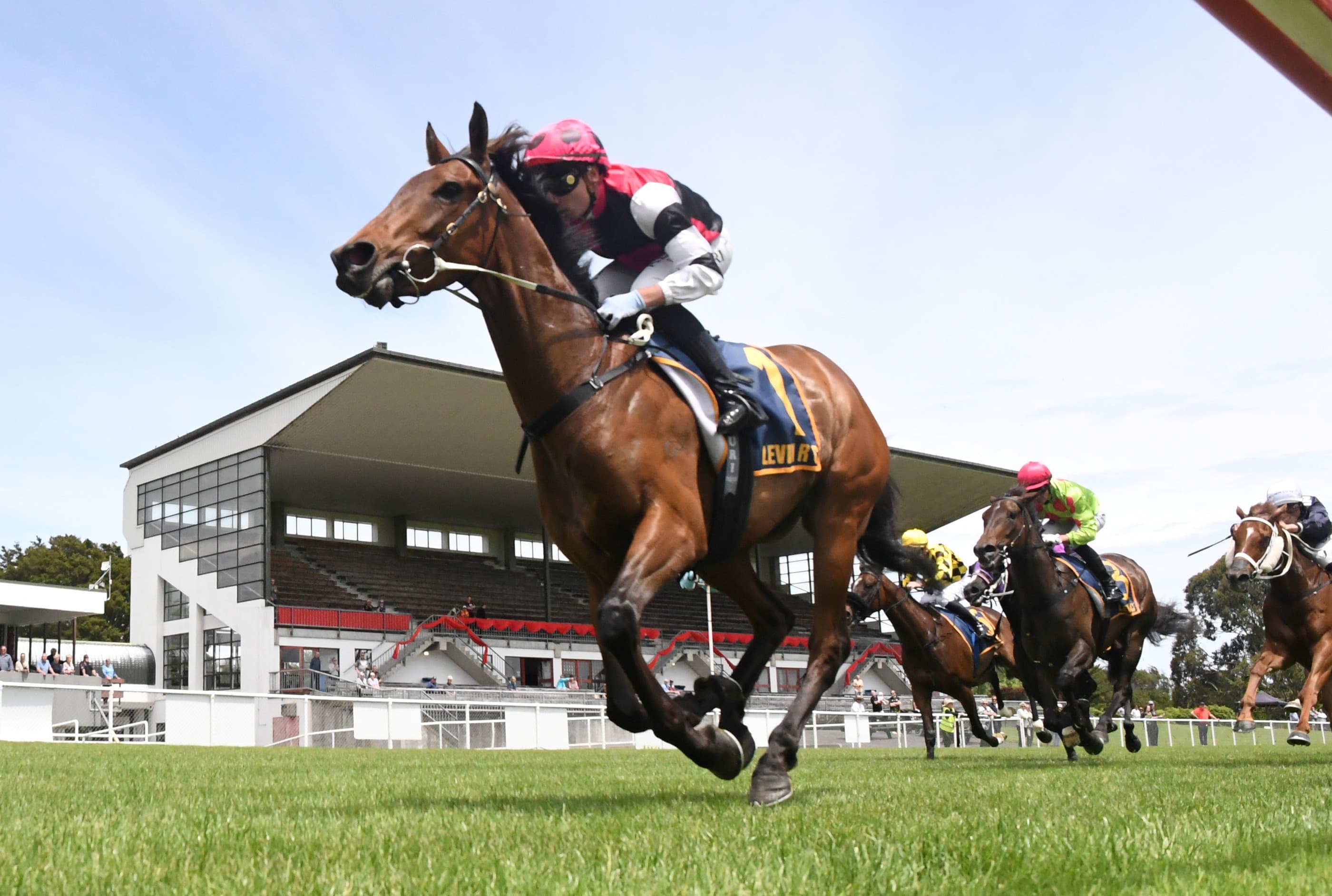 New trainer and new targets for Freddie Time