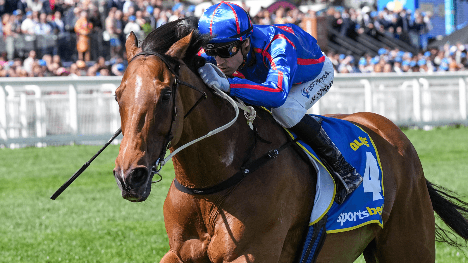 Kent Jnr: Globe may be heading to the Cox Plate