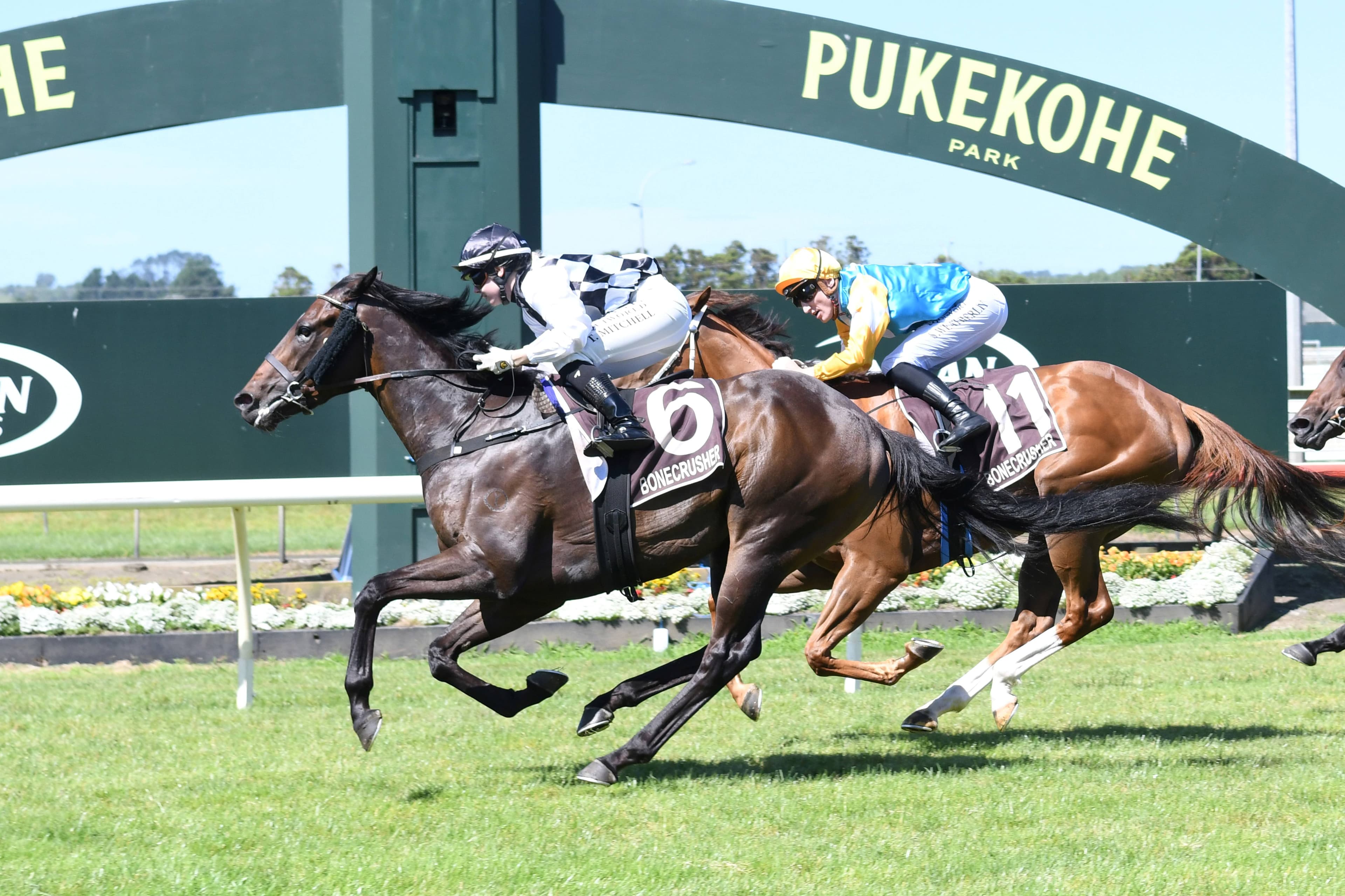 Wood taking positive approach to Auckland Guineas challenge