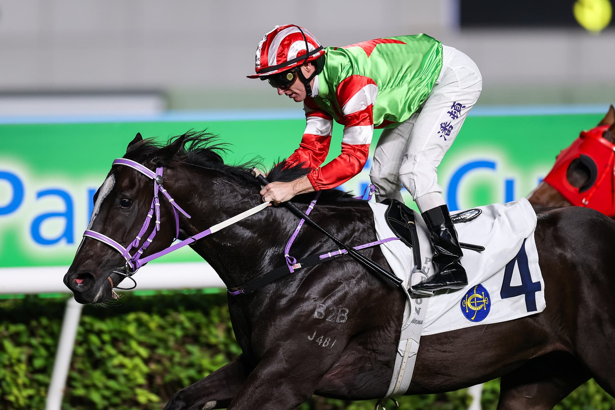 Orman confident Top Dragon can handle dirt debut at Sha Tin
