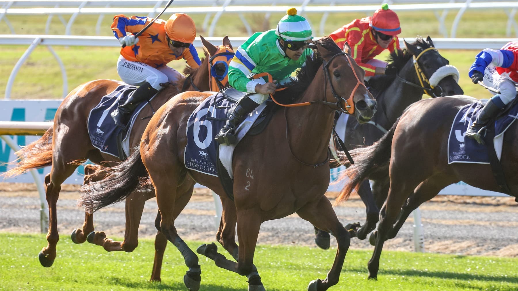 Australia beckoning Bona Sforza