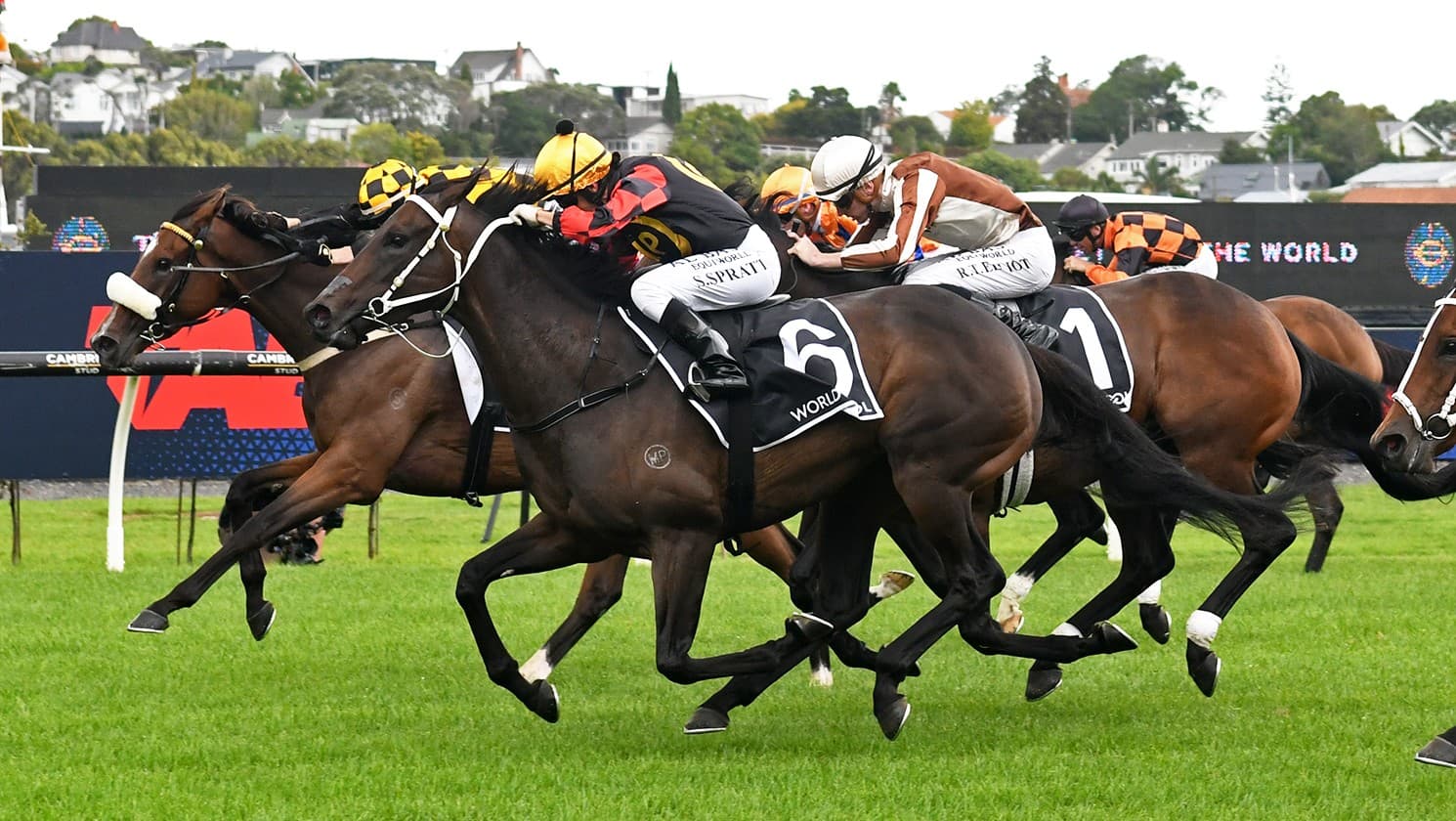 Provence primed for exciting prep