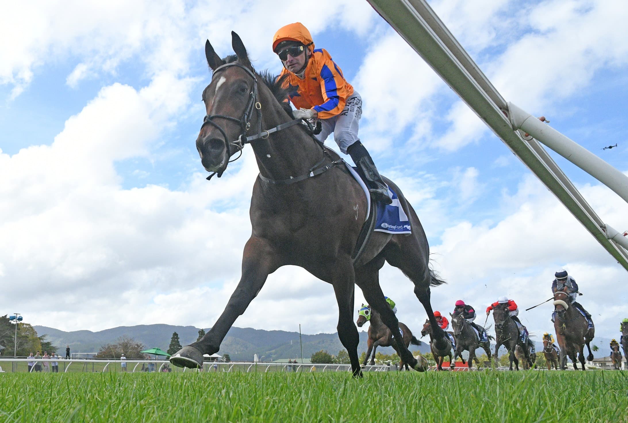 Seize The Day progressing nicely towards Australian debut