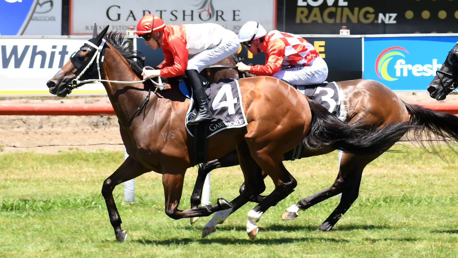 Super Photon bounces back at Tauranga