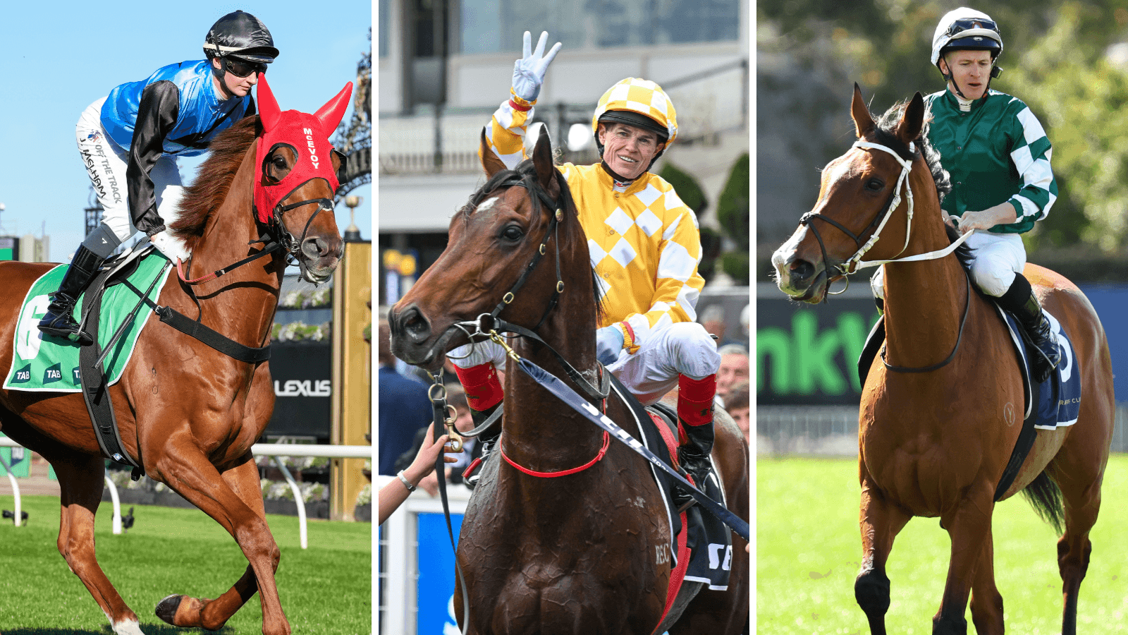 The three horses to follow out of the Turnbull